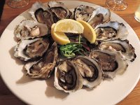 e DSCN6481  Austern, die werden dort überall gezüchtet